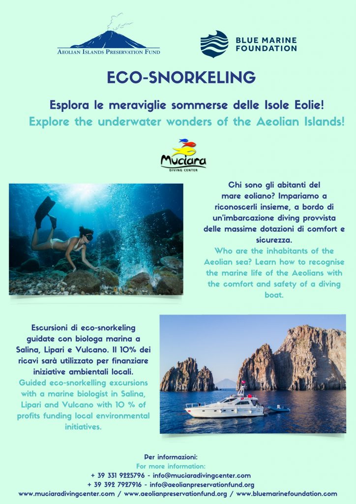eco snorkeling