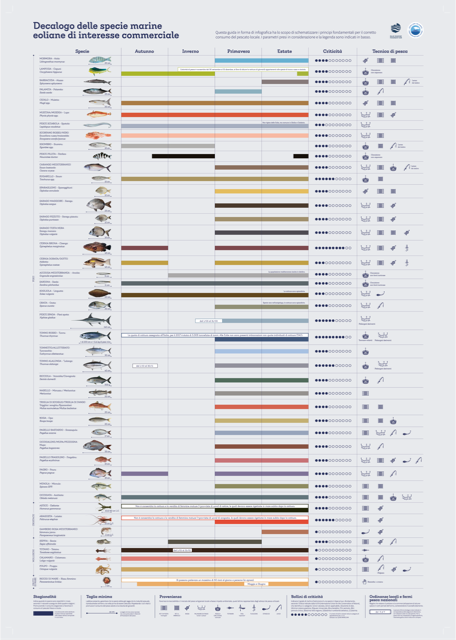 Decalogo specie eoliane