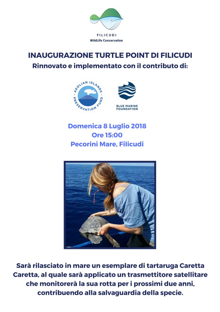 Poster Turtle Point