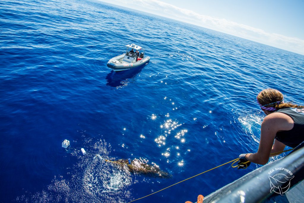 operation siso 2018, aeolian islands, sicily-italy