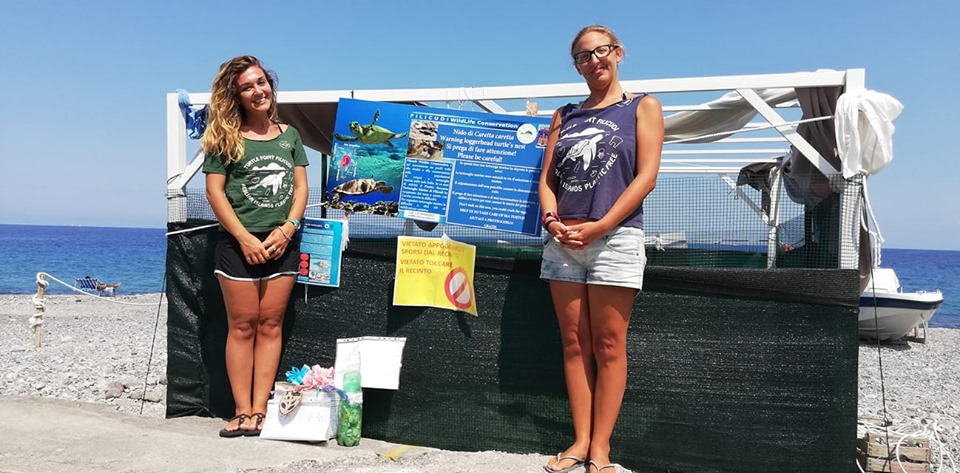 67062075_2259584314125799_2379356588575031296_n