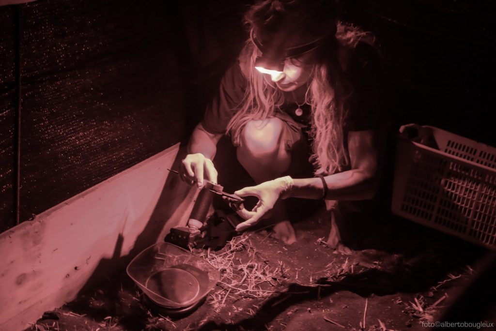 67597983_3002559149814912_5192129901926285312_o