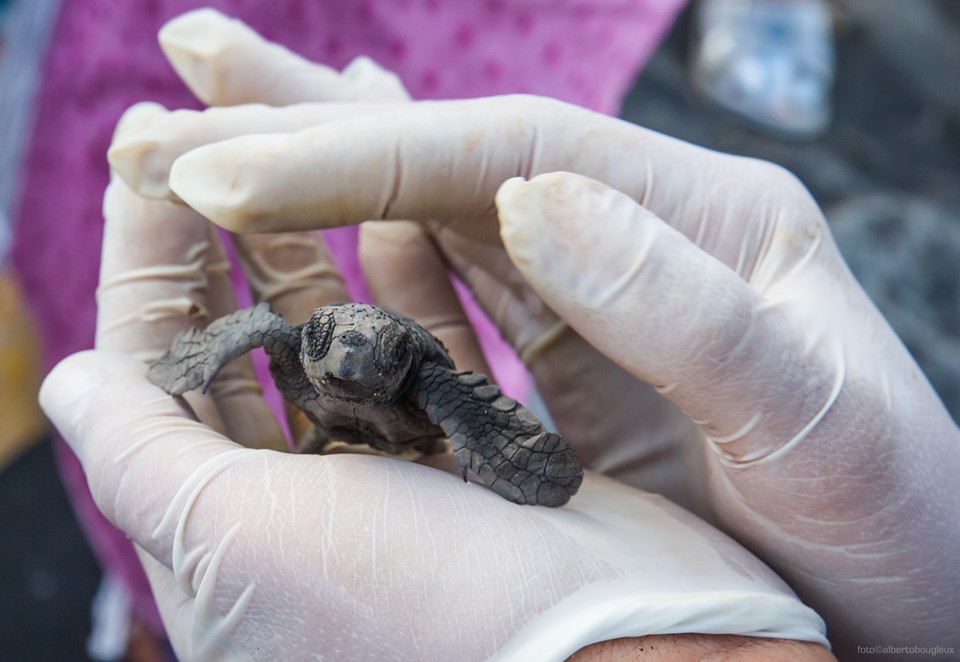 69748766_3090562791014547_6287500734552342528_n