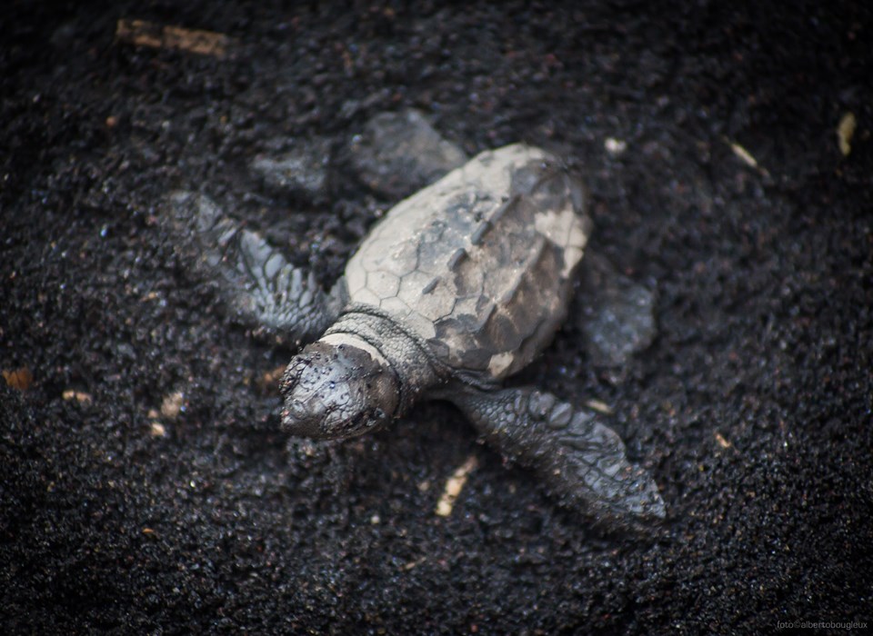 70276322_3090542207683272_5643322143425953792_n