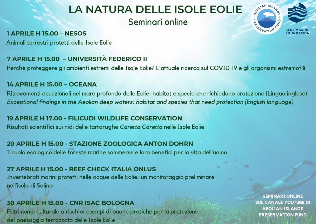 AIPF BLUE Calendario eoliano